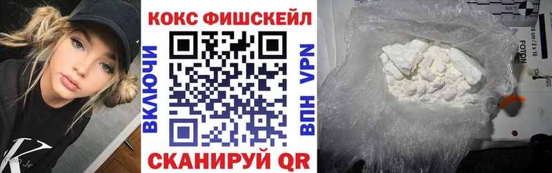 Cocaine Fish Scale  MEGA зеркало  Нефтегорск 