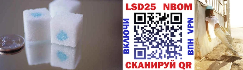 LSD-25 экстази кислота  OMG маркетплейс  Нефтегорск  купить наркоту 